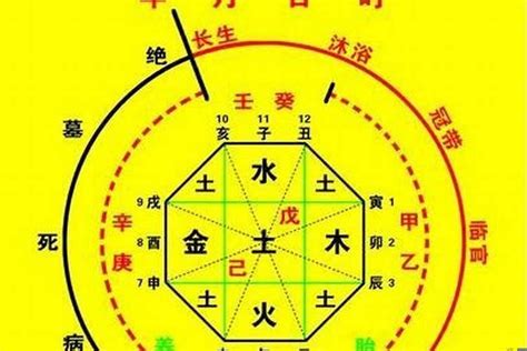 八字星宿|生辰八字算命、五行喜用神查询（免费测算）